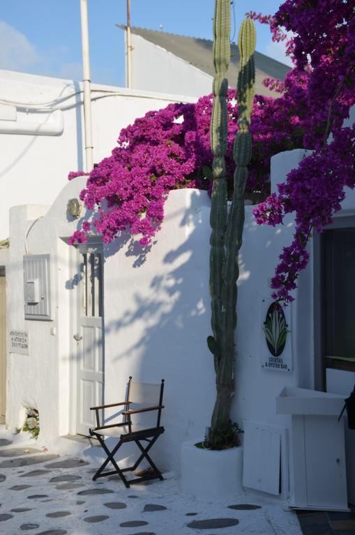 White And Grey Chora Apartment Mykonos Town ภายนอก รูปภาพ