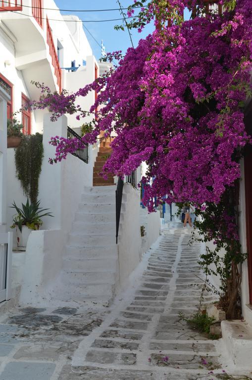 White And Grey Chora Apartment Mykonos Town ภายนอก รูปภาพ